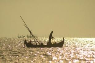 HNSI: Nelayan Sekarang Berburu Bukan Menangkap Ikan