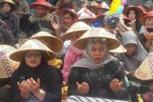 Petani Temanggung Sediakan 1.500 Tumpeng untuk Tasyakuran