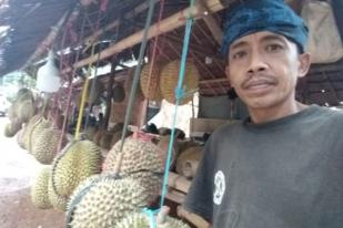 Petani Badui Kembali Panen Durian