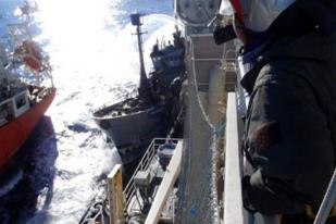 Kapal Penangkap Paus Jepang dan Kapal Pemrotes Bertabrakan