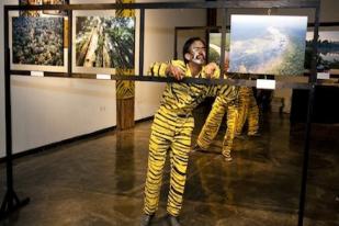 Aktor Hollywood Mulai Dukung Penyelamatan Harimau Sumatera