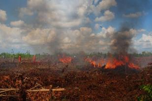 Titik Panas Kebakaran Lahan di Sumatera Capai 528
