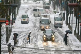 Badai Salju Jepang Renggut 19 Nyawa
