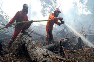Polda Riau Buru Lima DPO Pembakar Lahan