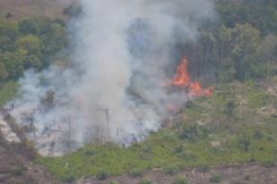 Polda Riau Tetapkan 66 Tersangka Pembakar Lahan