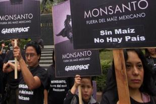 Protes Internasional terhadap Monsanto akan Digelar di Berbagai Negara