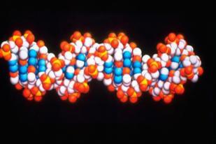 Skrining Genetik Mungkin Bisa Mengidentifikasi Orang Yang Rentan COVID-19