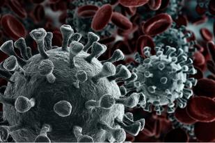 Studi: Jenis Virus Corona Yang Lebih Menular Ditemukan Mendominasi