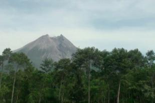 BPPTKG Perkirakan Erupsi Gunung Merapi Tak Sebesar Tahun 2010