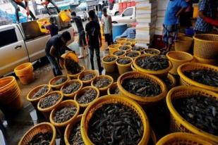 Ditemukan Ratusan Kasus COVID-19, Pasar Ikan di Thailand Ditutup
