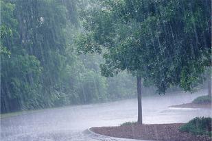 BMKG: 85% Wilayah Indonesia Memasuki Musim Hujan