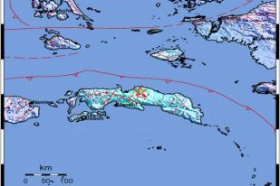 Gempa Bumi 5,4 Guncang Maluku Tengah