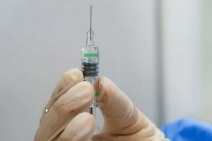 WHO Minta Negara Kaya Berbagi Vaksin dengan Negara Miskin