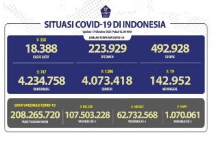 COVID-19 di Indonesia, Kasus Baru: 747
