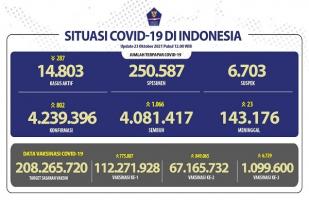 COVID-19 Indonesia, Kasus Baru: 802