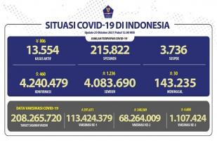 COVID-19 Indonesia, Kasus Baru: 460