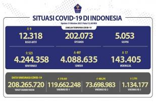 COVID-19 Indonesia, Kasus baru: 523