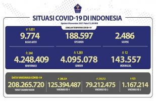 COVID-19 Indonesia, Kasus Baru: 244