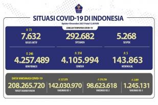 COVID-19 Indonesia, Kasus Baru: 246
