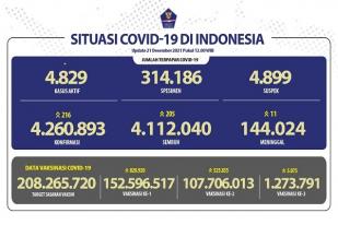 COVID-19 Indonesia, Kasus Baru: 216