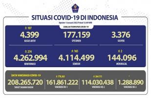 COVID-19 Indonesia, Kasus Baru: 274