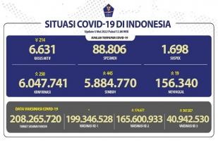 COVID-19 Indonesia, Kasus Baru 250