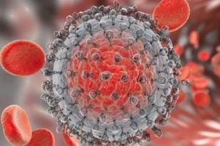 WHO: Virus Hepatitis Bunuh Lebih dari 3.500 Orang Setiap Hari