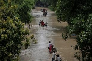 India Perkirakan Curah Hujan Monsun Tahun 2024 di Atas Rata-rata