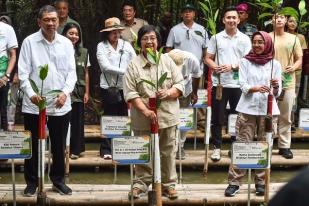 KLHK Tanam Serentak 25.000 Mangrove di 25 Lokasi Seluruh Indonesia 