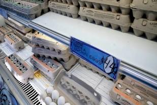 Australia Deteksi Virus Flu Burung H7 di Peternakan Penghasil Telur 