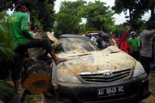 BLH Kota Yogyakarta Wacanakan Asuransi Korban Pohon Tumbang