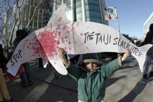  PBB Hentikan Perburuan Ikan Paus Jepang