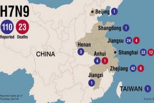 Korban Tewas Flu Burung di Tiongkok 96 Orang