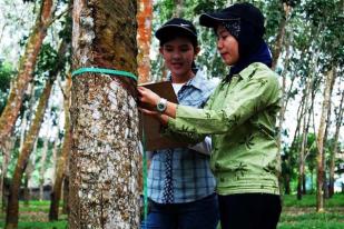 Indonesia Masih Butuh 191.400 Peneliti
