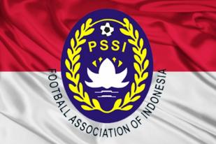 Pembekuan PSSI Wewenang Kemenkumham, Bukan Kemenpora