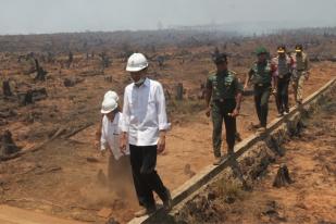 Asap Pekat Jambi Buat Pesawat Jokowi Batal Mendarat