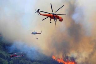 Sulawesi, Maluku, dan Papua, Ikut Kebakaran Hutan