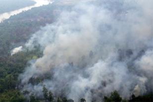 BNPB: Kabut Asap Karhutla Telah Sampai Jakarta