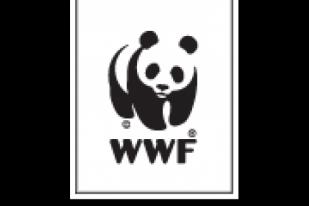 WWF Upayakan Pengembangan Kayu Putih untuk Warga