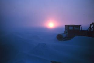 Suhu Udara di Arktik Capai Tingkat Tertinggi sejak 1900