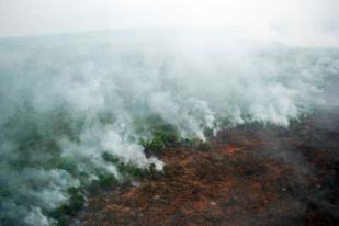 Puluhan Titik Panas Terdeteksi di Riau