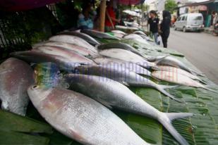 Australia Butuh Bantuan Negara Lain Deteksi Pencuri Ikan