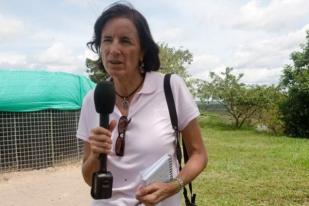Pemerintah Kolombia Cari Jurnalis Spanyol yang Hilang
