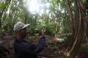 Pemkab Jayapura Kekurangan Polisi Hutan