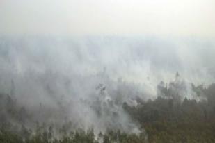 Petugas Berhasil Padamkan Kebakaran Lahan di Suramadu