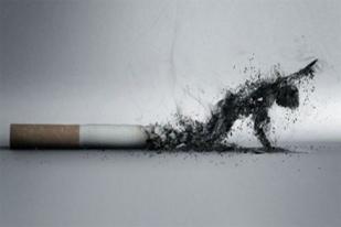Menkominfo Tifatul Sembiring Dipetisikan Karena Biarkan Iklan Rokok