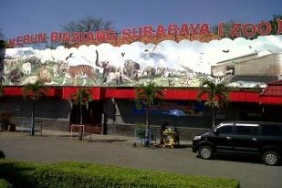 Kebun Binatang Surabaya Terima Izin Lembaga Konservasi
