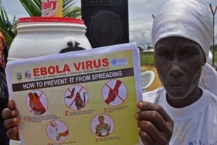 Obat Ebola ZMapp Efektif Pada Hewan