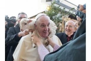 Vatikan: Paus Tidak Pernah Mengatakan Hewan  Masuk Surga