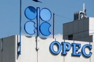 Jelang OPEC, Harga Minyak Terus Turun